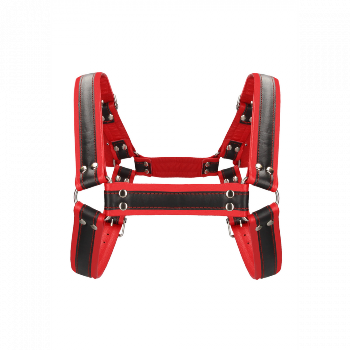 Leren Bulldog Harnas met Gespen - L/XL - Afbeelding 3