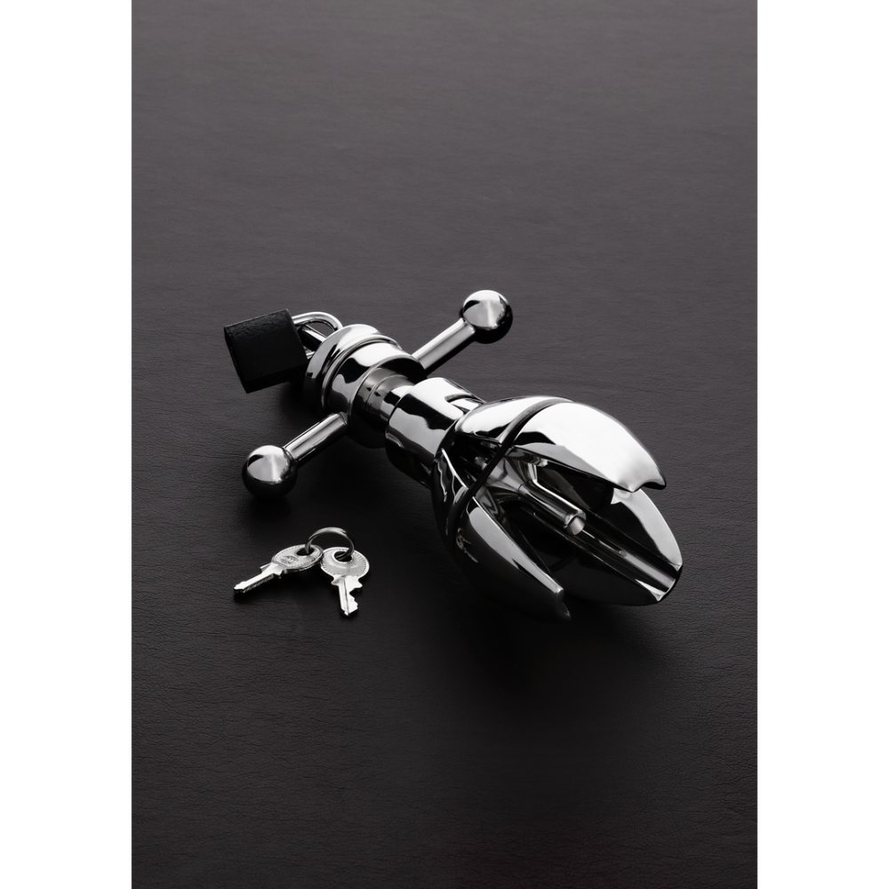 De Ultimate Asslock - Afbeelding 3