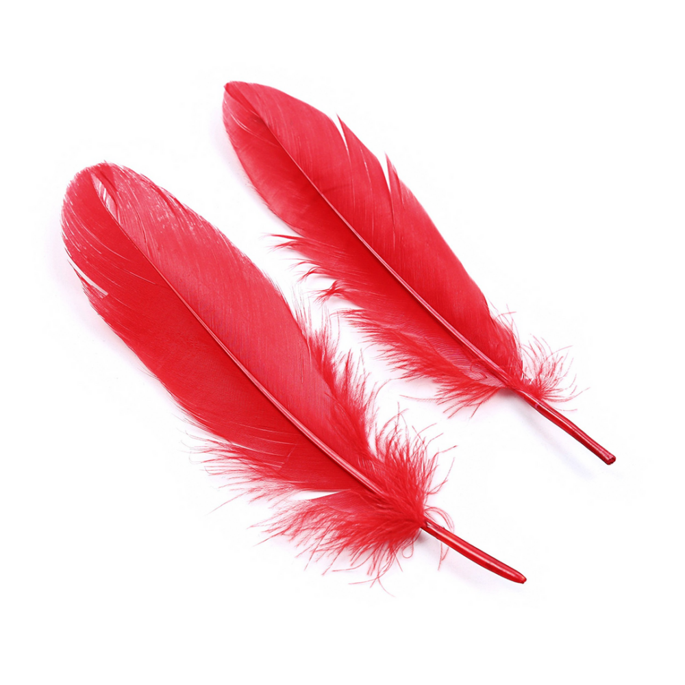 Lover's Dream - 4-delige Bondage Kit voor Beginners - Rood - Afbeelding 4