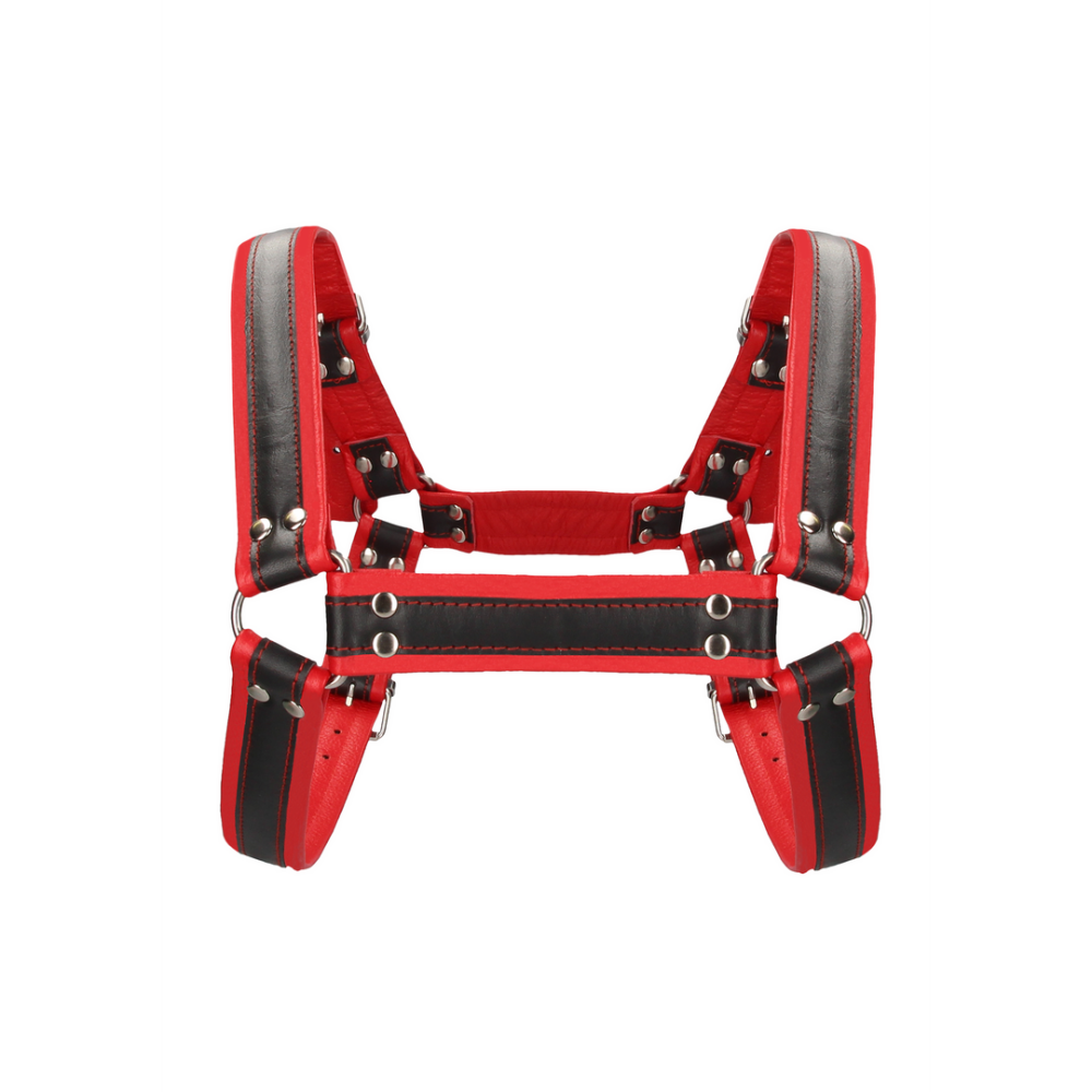 Leren Bulldog Harnas met Gespen - S/M - Afbeelding 4