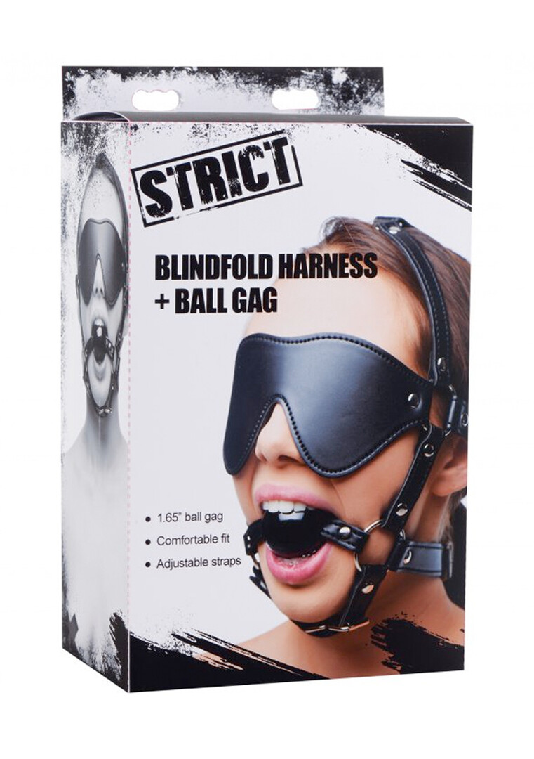 Oogmasker met Ballgag Harness - Afbeelding 2