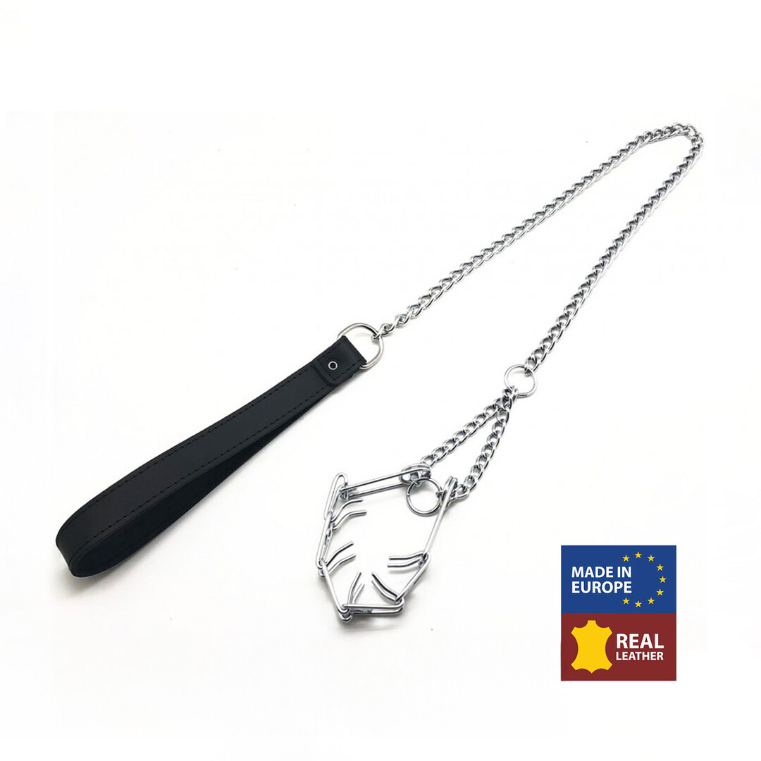 Leiband met Choker voor Penis - Zwart/Zilver
