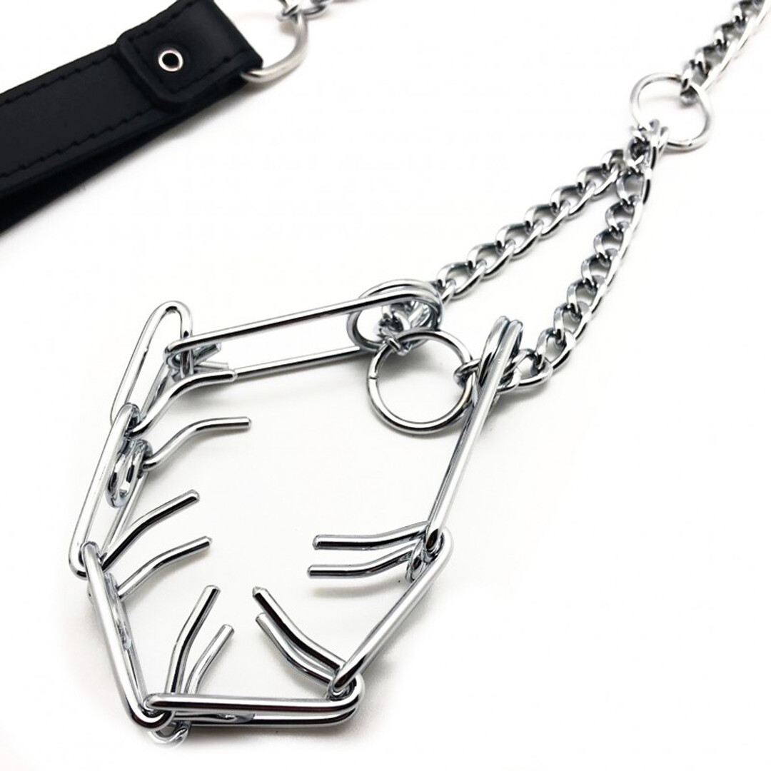 Leiband met Choker voor Penis - Zwart/Zilver - Afbeelding 2